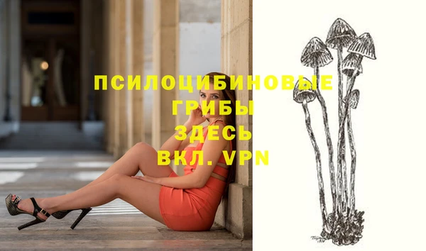 a pvp Верхний Тагил